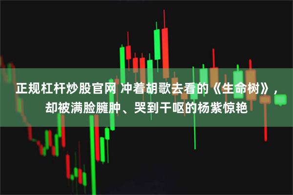 正规杠杆炒股官网 冲着胡歌去看的《生命树》，却被满脸臃肿、哭到干呕的杨紫惊艳