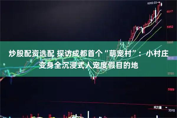炒股配资选配 探访成都首个“萌宠村”：小村庄变身全沉浸式人宠度假目的地