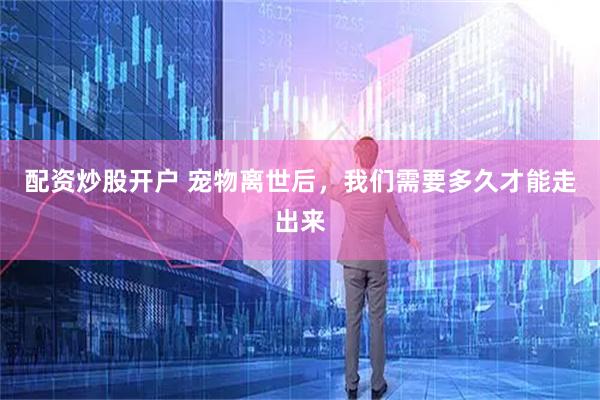 配资炒股开户 宠物离世后，我们需要多久才能走出来